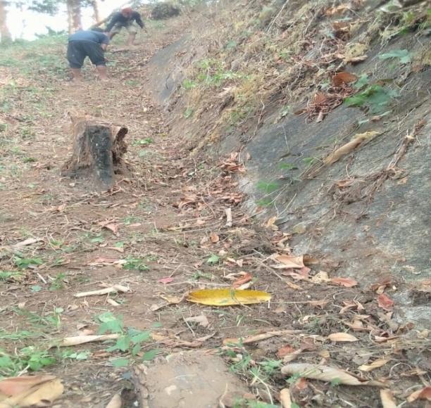 G:\VILLAGE REPORT PICTURES\mawker latest\WhatsApp Image 2023-02-06 at 12.16.31 (1).jpeg